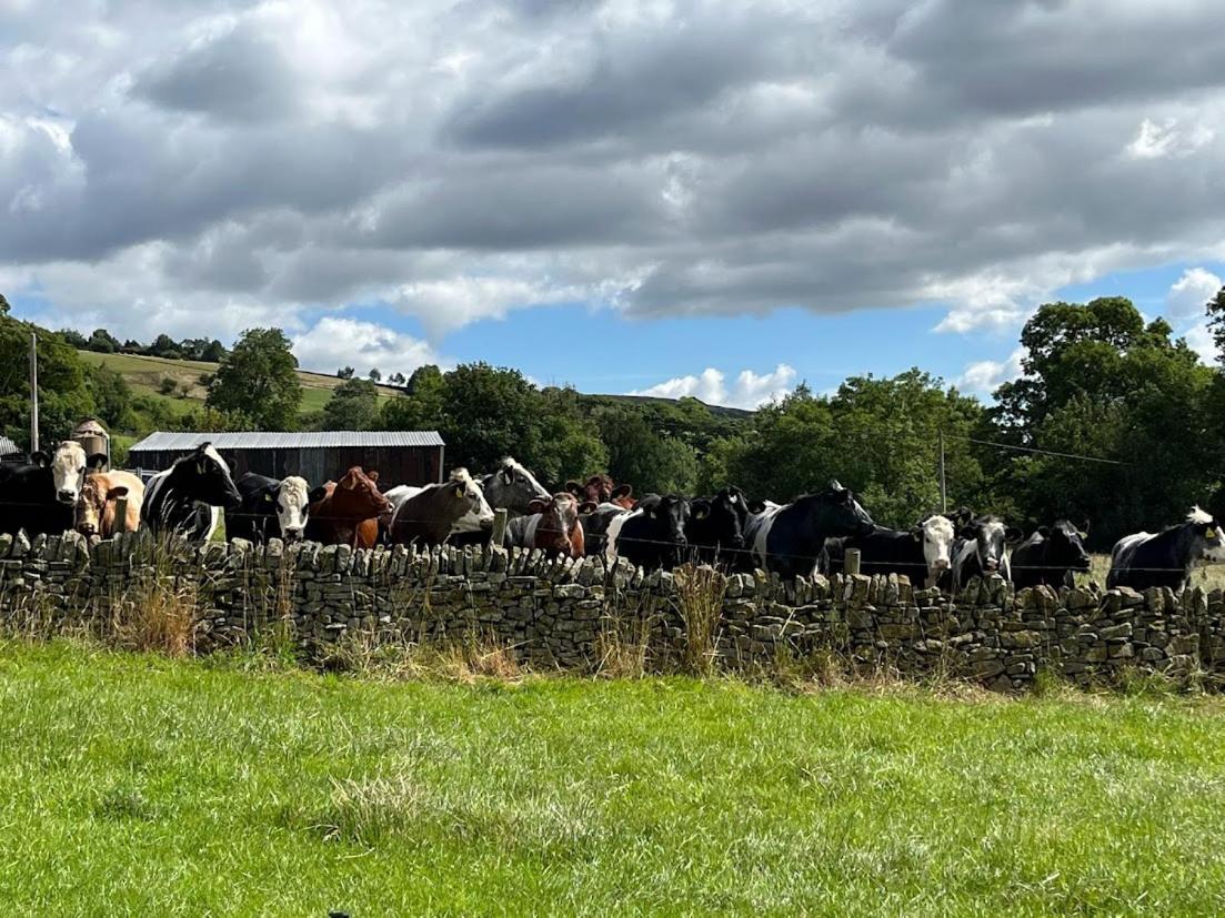 Riding House Farm Cottages Каслтон Экстерьер фото